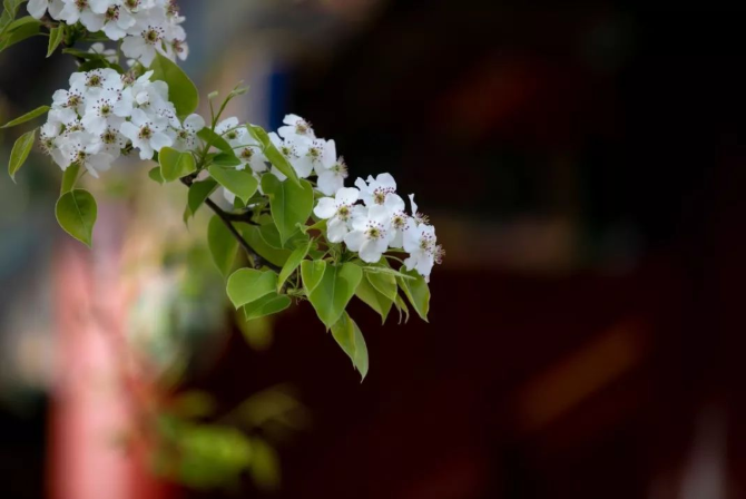 立夏丨春光萬象中，夏日初長成--易造防雷