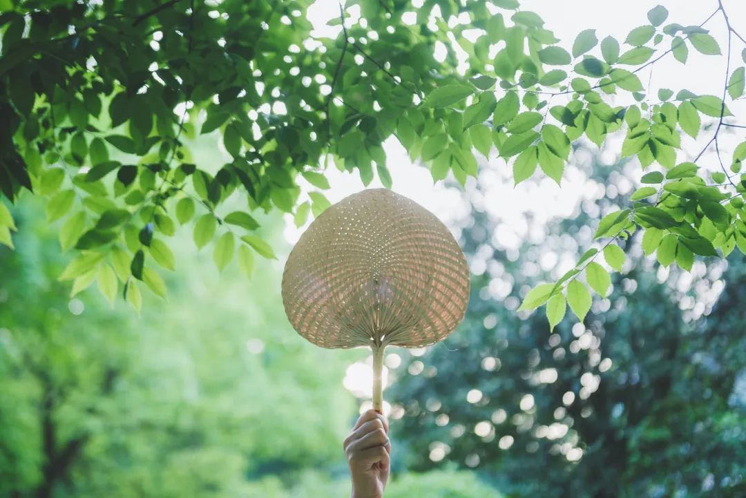 立夏丨春光萬象中，夏日初長成--易造防雷