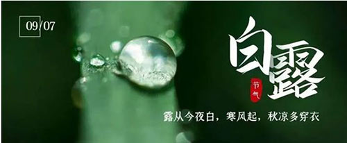 白露 | 夏意已去，涼秋來臨