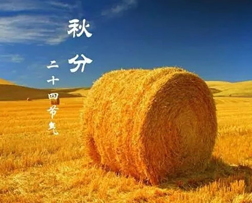 秋分 | 秋色灑滿大地，滿目秋意為伴